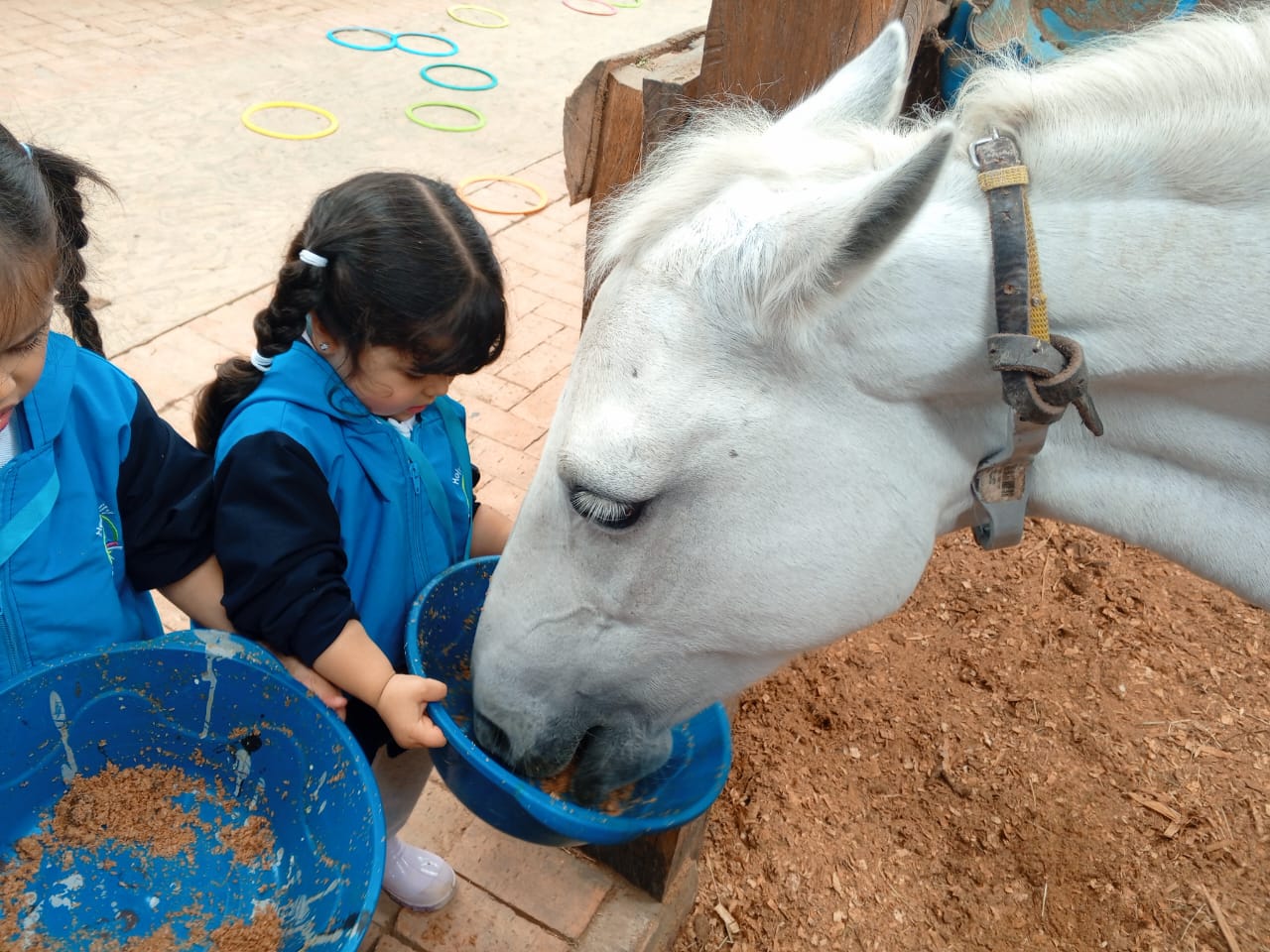 Centro Ecuestre - Equitación para niños